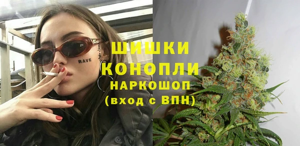 прущие грибы Нефтегорск