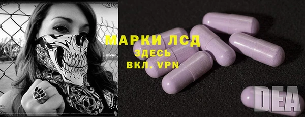 спиды Новодвинск
