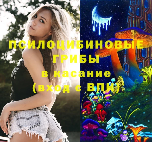 спиды Новодвинск