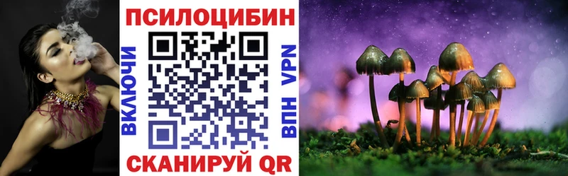 Галлюциногенные грибы мицелий  блэк спрут   Зима 