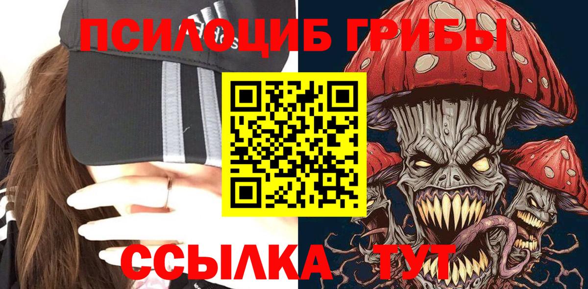 Псилоцибиновые грибы Cubensis  Псилоцибиновые грибы Psilocybe  Зима 