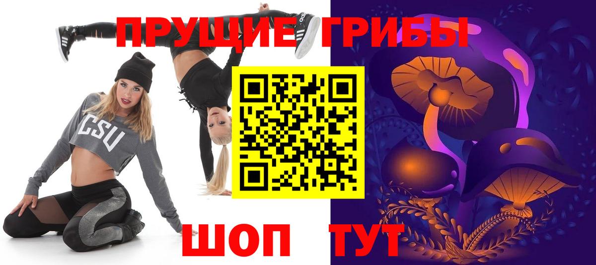 Зима  Галлюциногенные грибы прущие грибы  Вход с VPN  Псилоцибиновые грибы Cubensis 