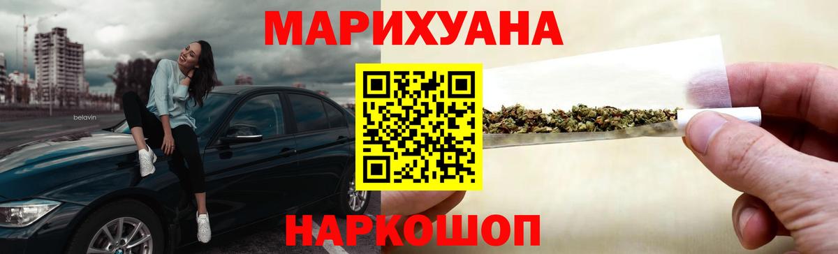 Каннабис гибрид  Каннабис семена  МАРИХУАНА MAZAR  Каннабис марихуана  Зима 